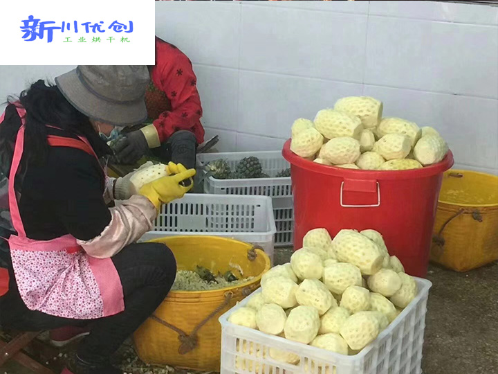 水果新吃法，飯后小零嘴——好吃不怕胖