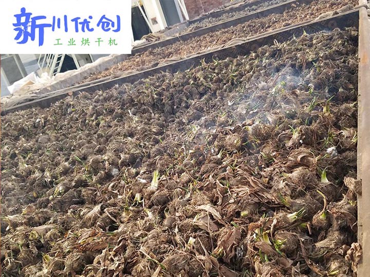 熱風(fēng)烘干床