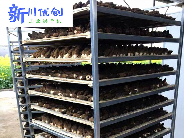 燃氣熱風-菌菇烘干房