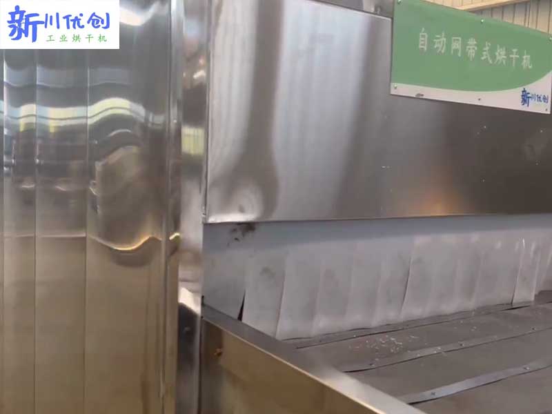 62f9ee1856c35.jpg 宜賓網(wǎng)帶式1.jpg